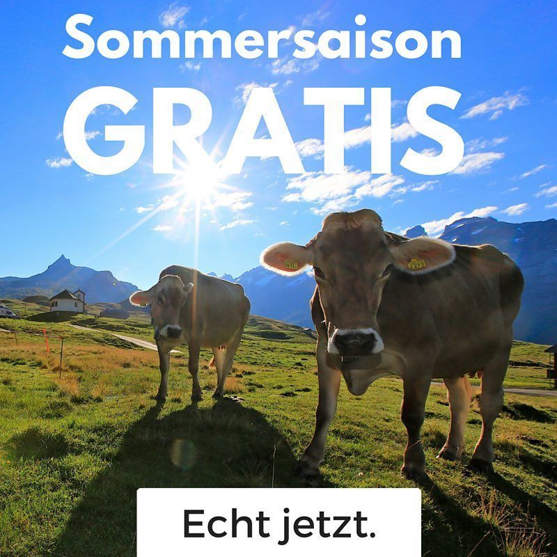 Sommersaison geschenkt? Waaaaas? Ja! ? Wenn ihr schon heute die Wintersaisonkarte 16/17 kauft, erhaltet ihr die Sommersaisonkarte 2016 gratis dazu!??? >> Mehr Infos gibts auf unserer Homepage melchsee-frutt.ch #summer #winter #startofseason #finally #echtjetzt #mountains #switzerland #melchseefrutt