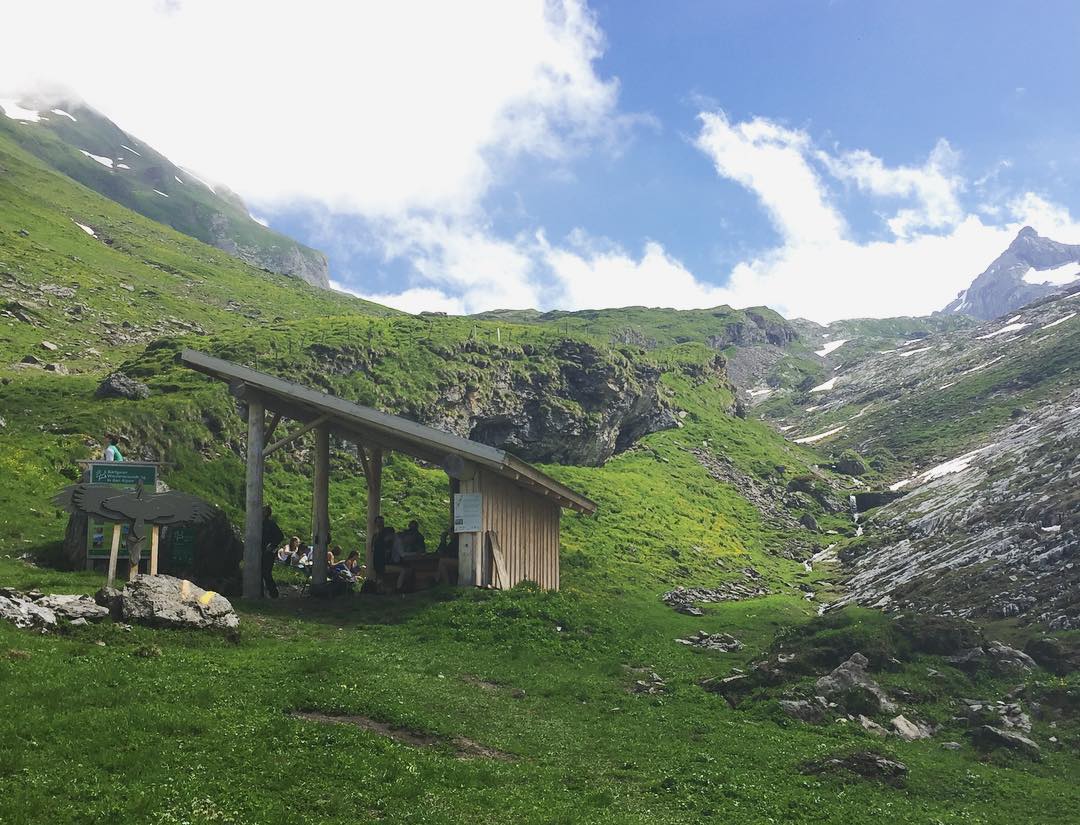 Et voilà: Der Bartgeier-Infostand beim Hengliboden. Ob wir die Bartgeier wirklich richtig seh'n, seht ihr, wenn ein Bild hier steht. ? #melchseefrutt #hengliboden #watchingwildlife #bartgeier #nature #visitswitzerland