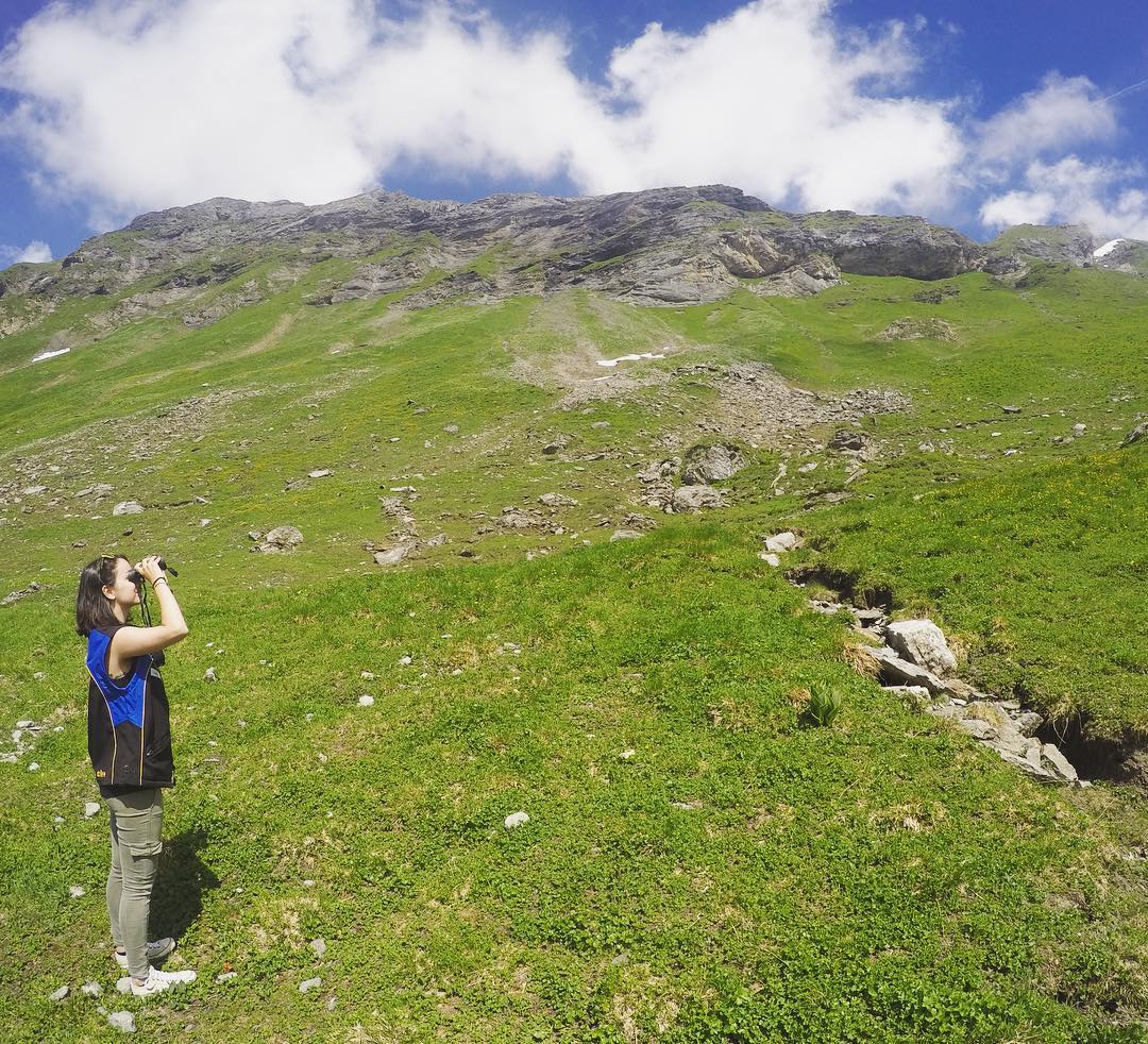 Wir suchen die beiden Bartgeier Alois und  Cierzo. ?? #melchseefrutt #hengliboden #bartgeier #watchingwildlife #nature #switzerland #wherearethey #hallo?