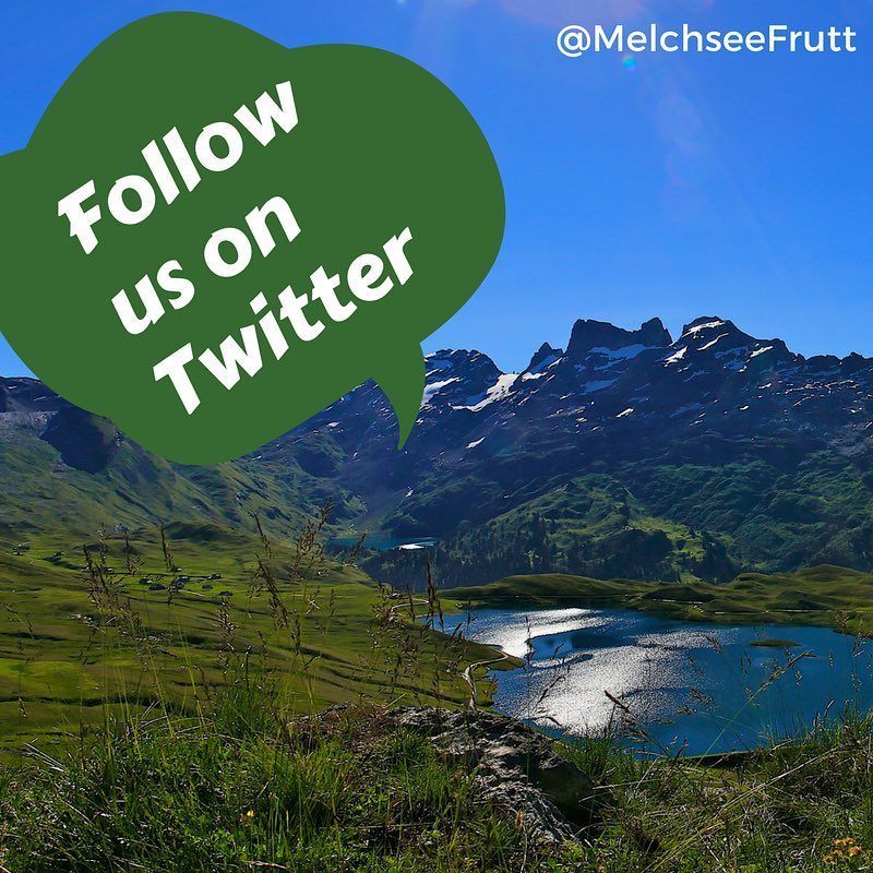 Follow us on #twitter. #followus #weloveyou ??