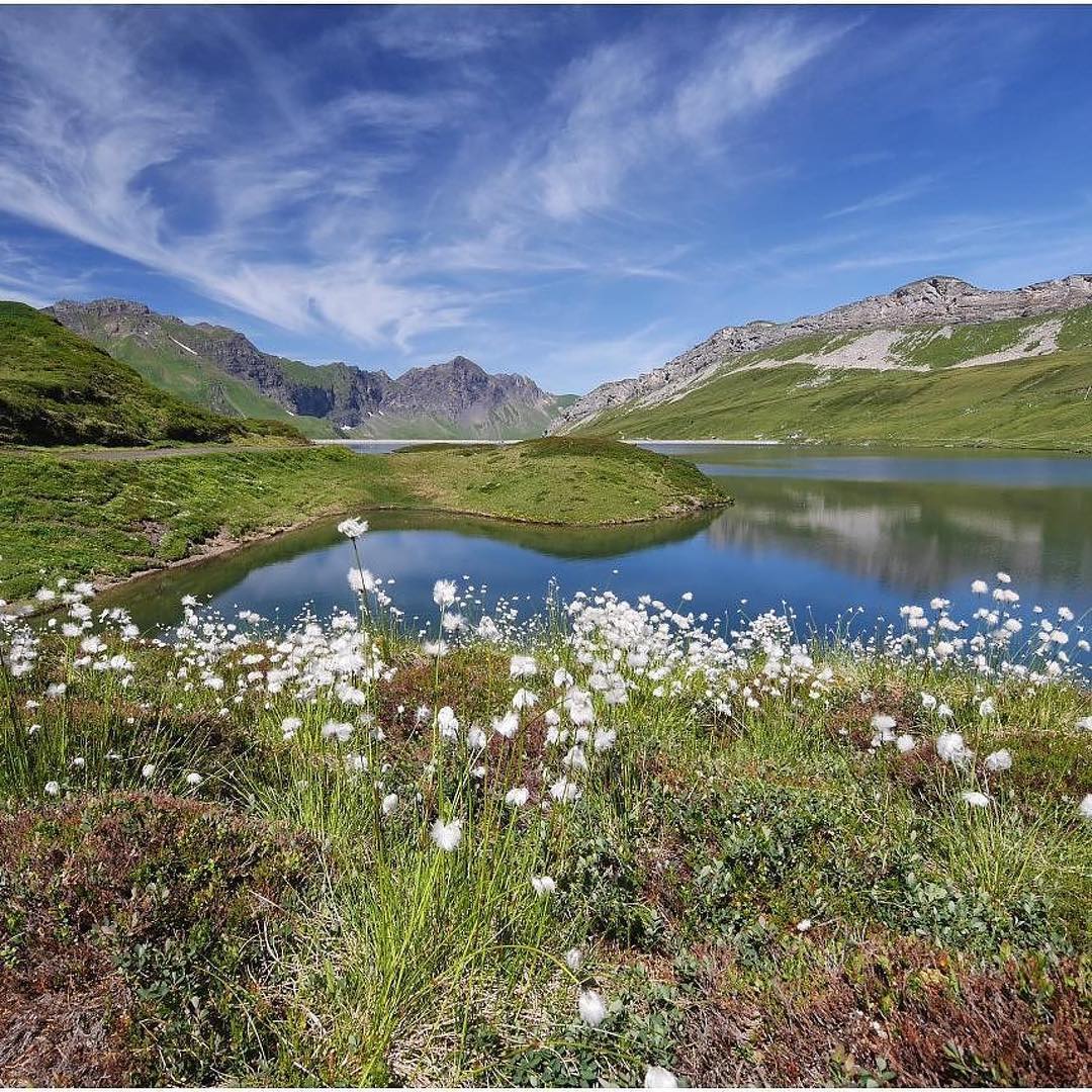 #Repost @lanzandreas
・・・
Am Tannensee… http://cagan.ch/blog/ein-rundgang-am-tannensee/  #swisslandscape #beautifulswitzerland #swissmountains #swissalps #mountainlake #summer #see #alpen #zentralschweiz #melchseefrutt #sommer