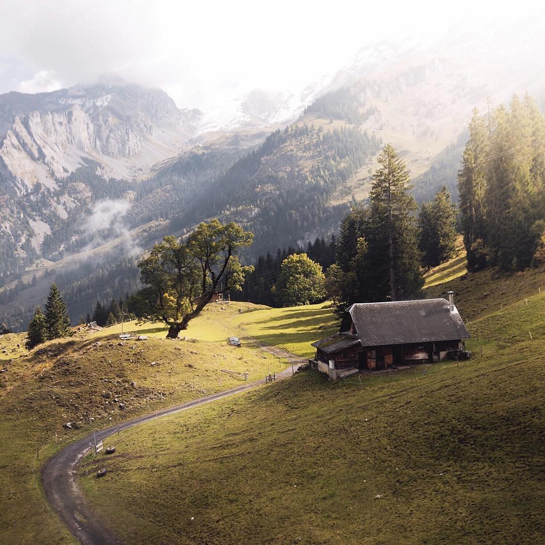 #Repost @myswitzerland
For those who missed it, I’m @claireonline taking over this account, as I’m currently exploring the surroundings of Lucerne! On my way up to Melchsee-Frutt this morning, the light and the natural surroundings were phenomenal. I now know for sure…this is my favorite season! ?@melchseefrutt #inLOVEwithSwitzerland  #melchseefrutt #mylucerne #LakeLucerneRegion