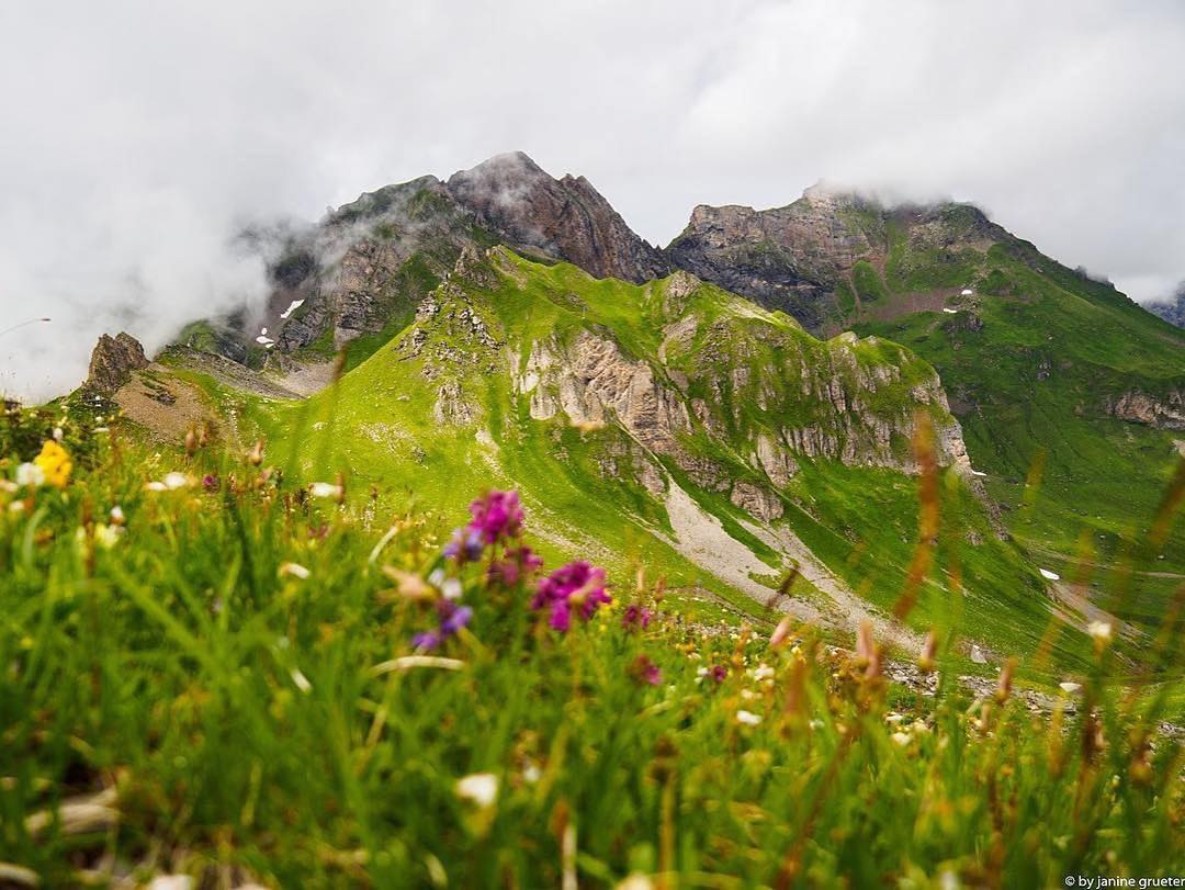 ? #Repost @grueterjanine
#erzegg #balmeregghorn #melchseefrutt #hiking #july #mountains #swissmountain #mountainflowers #inlovewithswitzerland #fog