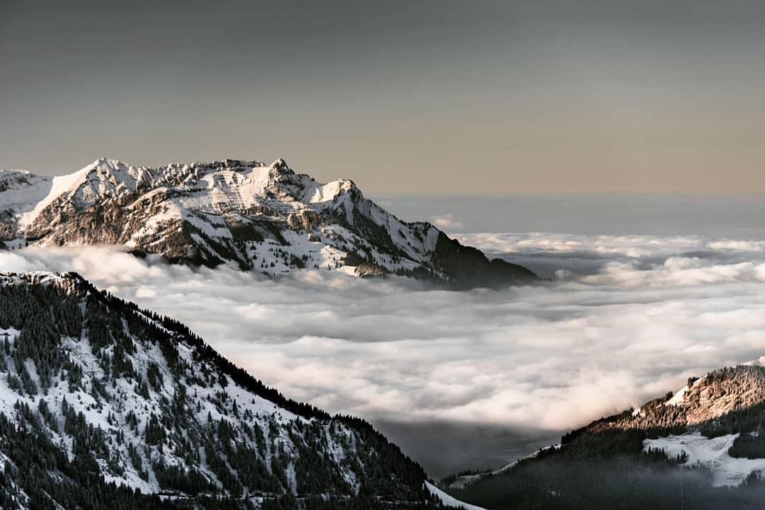 #Repost @__timk__
・・・
S E A  O F  F O G 
Throwback to the days with such a stunning view. Definitely wanna go back to the mountains soon.
.
.
#roam #weouthere #wildernessnation #keepitwild #Moodygrams #outdoor #foggy