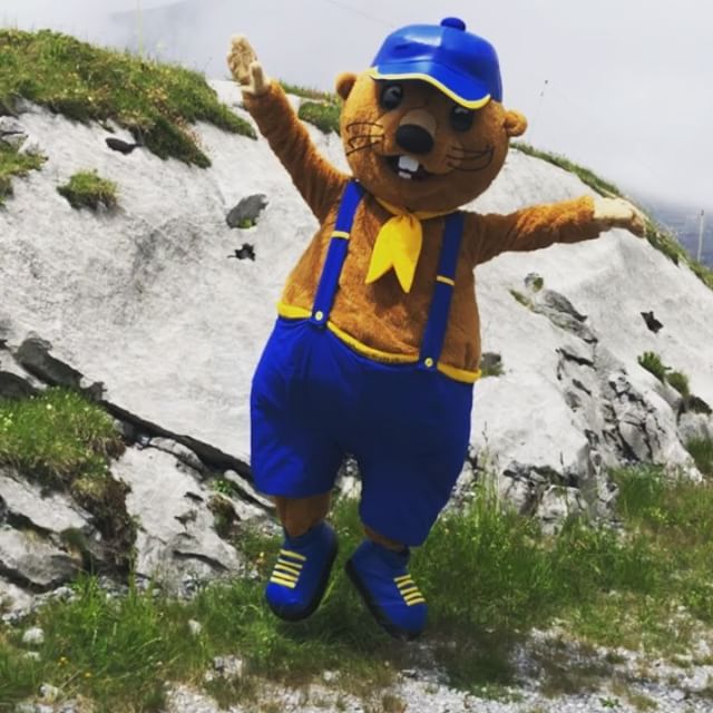 Ab heute triffst du Fruttli wieder höchstpersönlich auf Melchsee-Frutt!
Jeweils nachmittags an den Wochenenden und in den Schulferien bei der neuen Bergstation! Fruttli freut sich auf dich!
#melchseefrutt #fruttli #sommerfrische #fruttliweg #lakelucerneregion