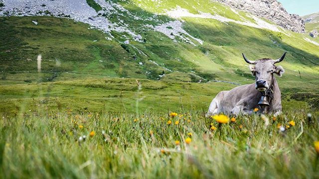 Pause gefällig…? Dann ab in die Berge ⛰