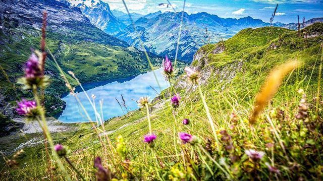Von HOCH oben auf den #engstlensee ⛰ Ein eindrückliches Panorama. Nicht wahr? ? #vierseenwanderung #melchseefrutt #engstlenalp #jochpass #natur #loveit #niceweather #mountains #bluelake #inlovewithswitzerland #hiking #wanderlust #goandvisit #swiss
