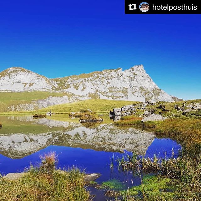 Tolles Bild 😍  #Repost @hotelposthuis with @get_repost
・・・
#herbst #melchseefrutt #posthuis #wildessen #sonnenschein