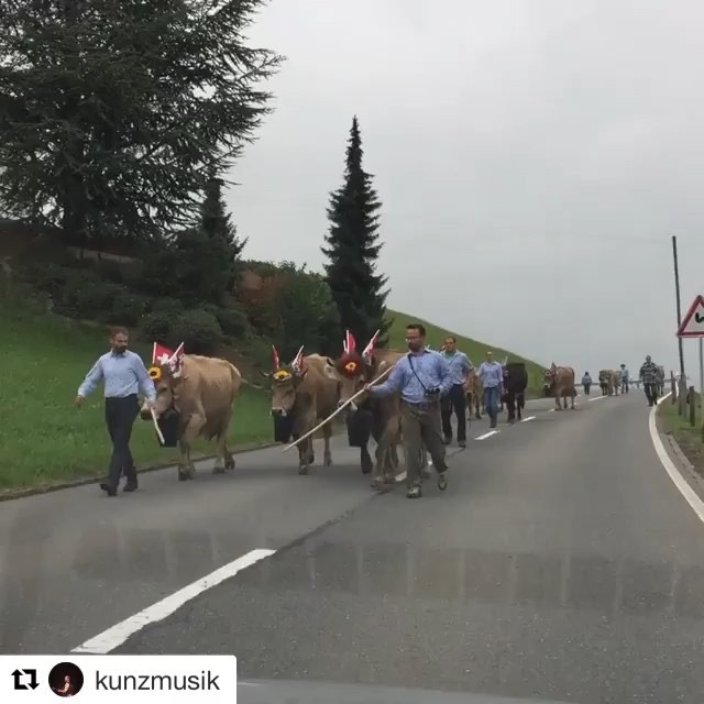 @kunzmusik bei der alpabfahrt 😊👍🐄🐄🐄🐄🐄🐄🐄🐄 #Repost @kunzmusik with @get_repost
・・・
Alpenparade 🎉😃
#alpabzug #melchtal #kerns #desonnenoh ☀️