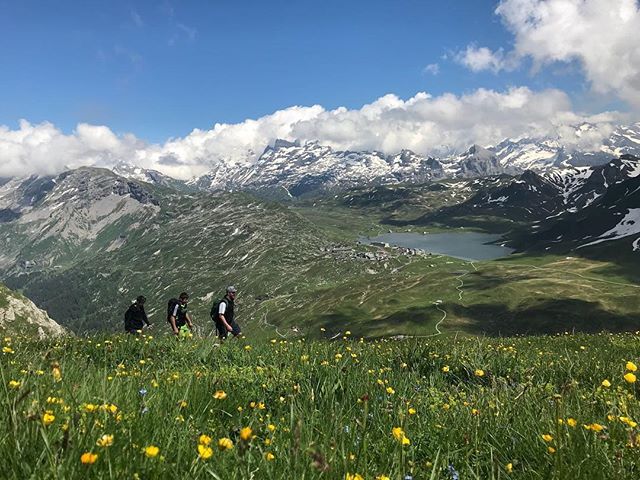 „Will d’Frutt s’scheenschtä isch⛰🌻“ @_maarc11_ – 
Mehr ist dazu nicht zu sagen 😶😍
Danke auch hier unserem #gewinner @_maarc11_ für das sommerliche Bild 👍