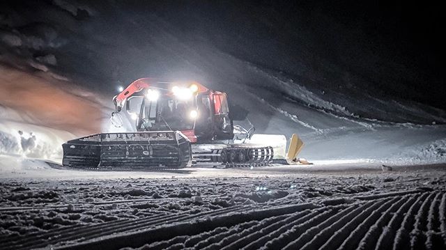 Wenn sie kommen, ist Schneesport garantiert. 💪😉❄️