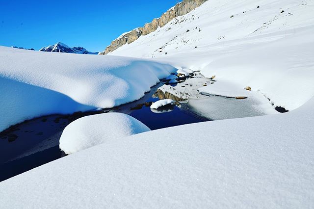 Winterwonderland 😍
📸 @j4n1k.r 
#sunnydays #snow #inlovewithswitzerland #winter #winterwonderland